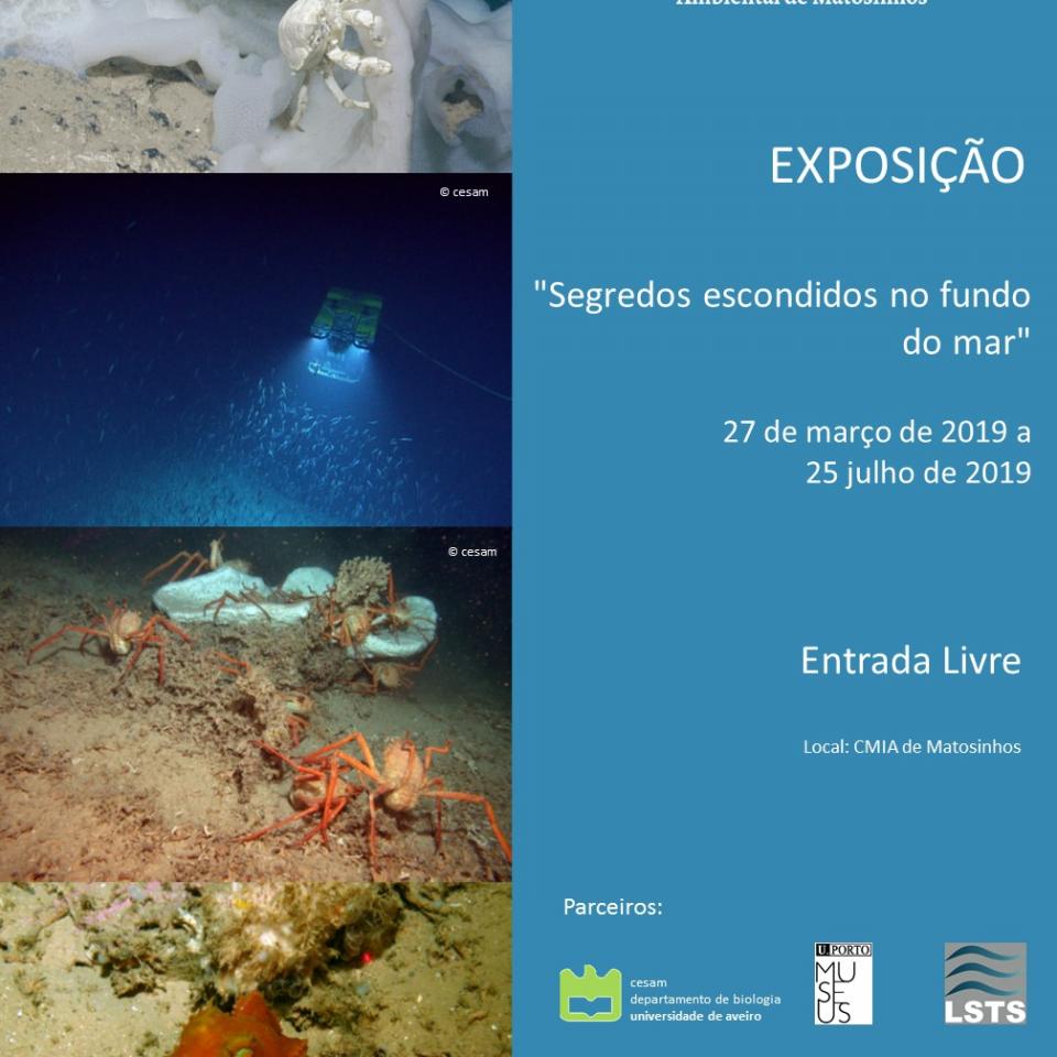 Segredos escondidos no fundo do mar