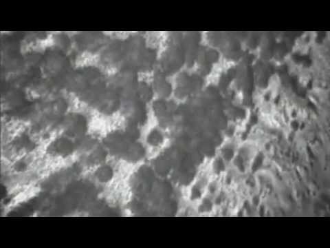 Preview image for the video "Footage from X8 with IR camera".