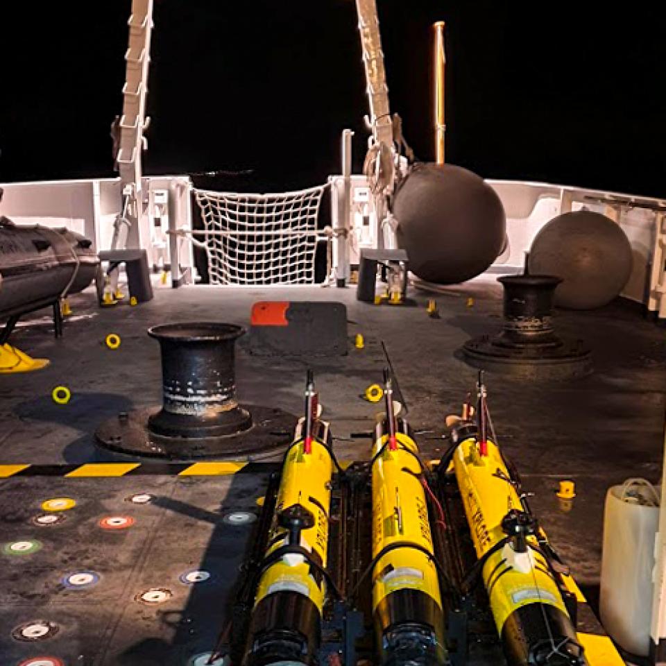 ENDURANCE test conducted off Sesimbra in 2019