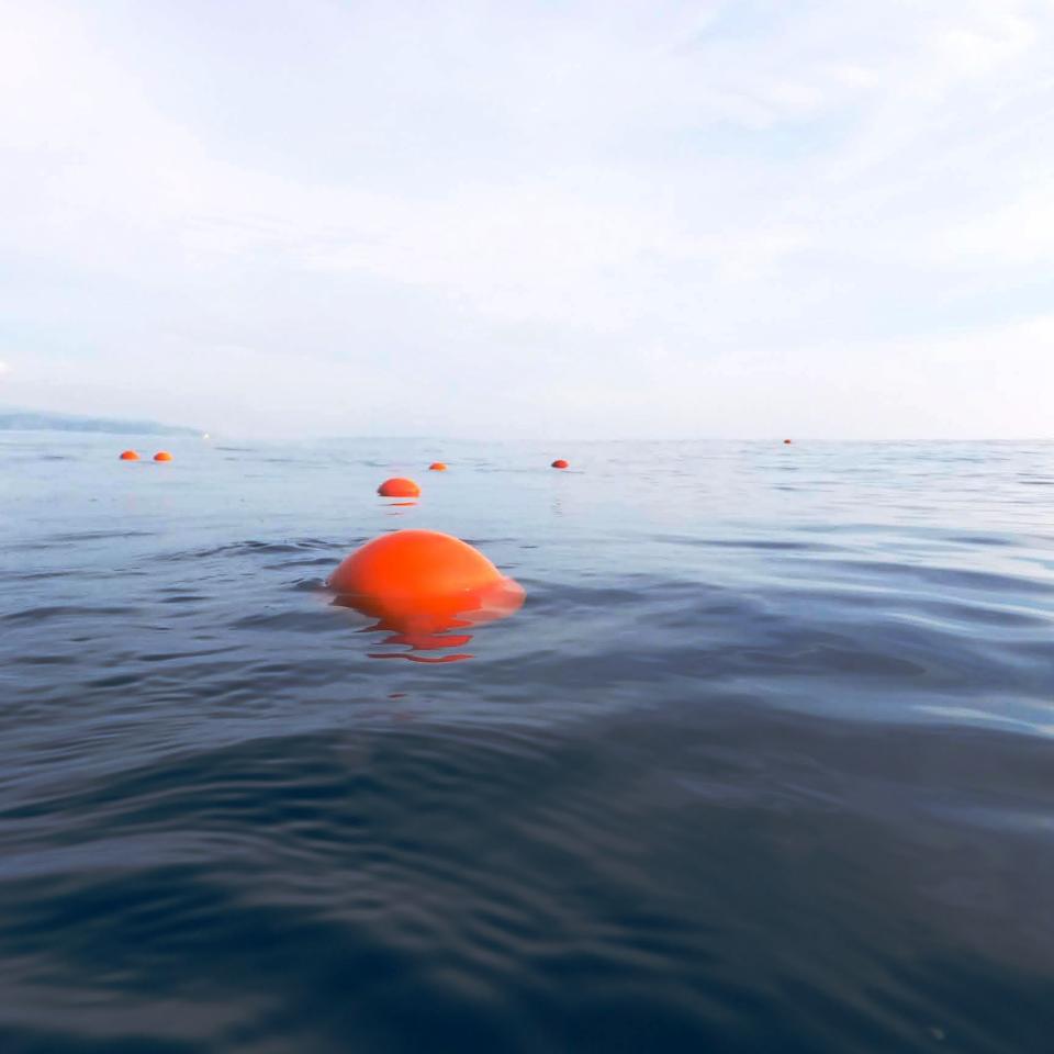 Drifters in the Water