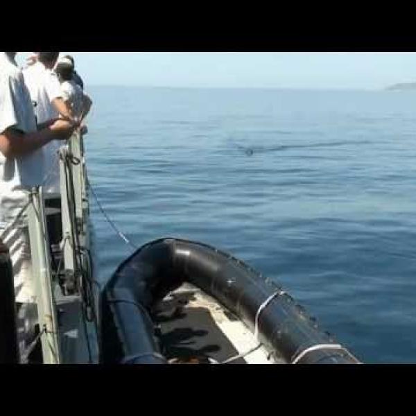 Preview image for the video "VIP Day Talk and Demo".